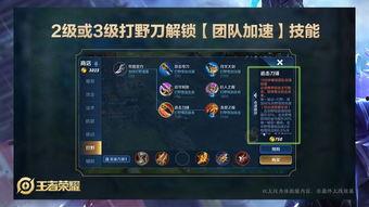 王者今日爆料在哪里看到,今日最新动态，揭秘新英雄与活动详情  第3张