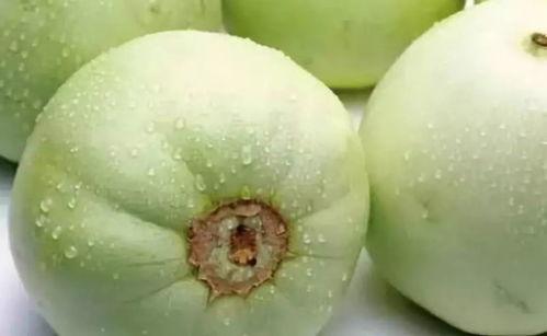 甜瓜最新大爆料视频  第1张